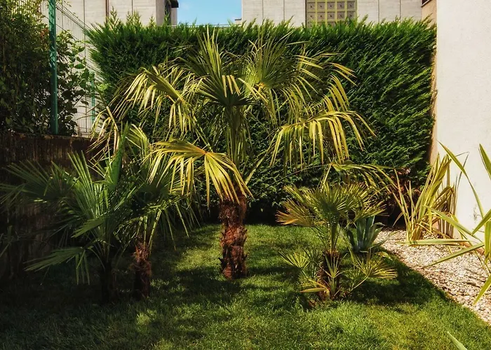 Le Palme City Rooms Trento